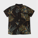 The Fronds Woven