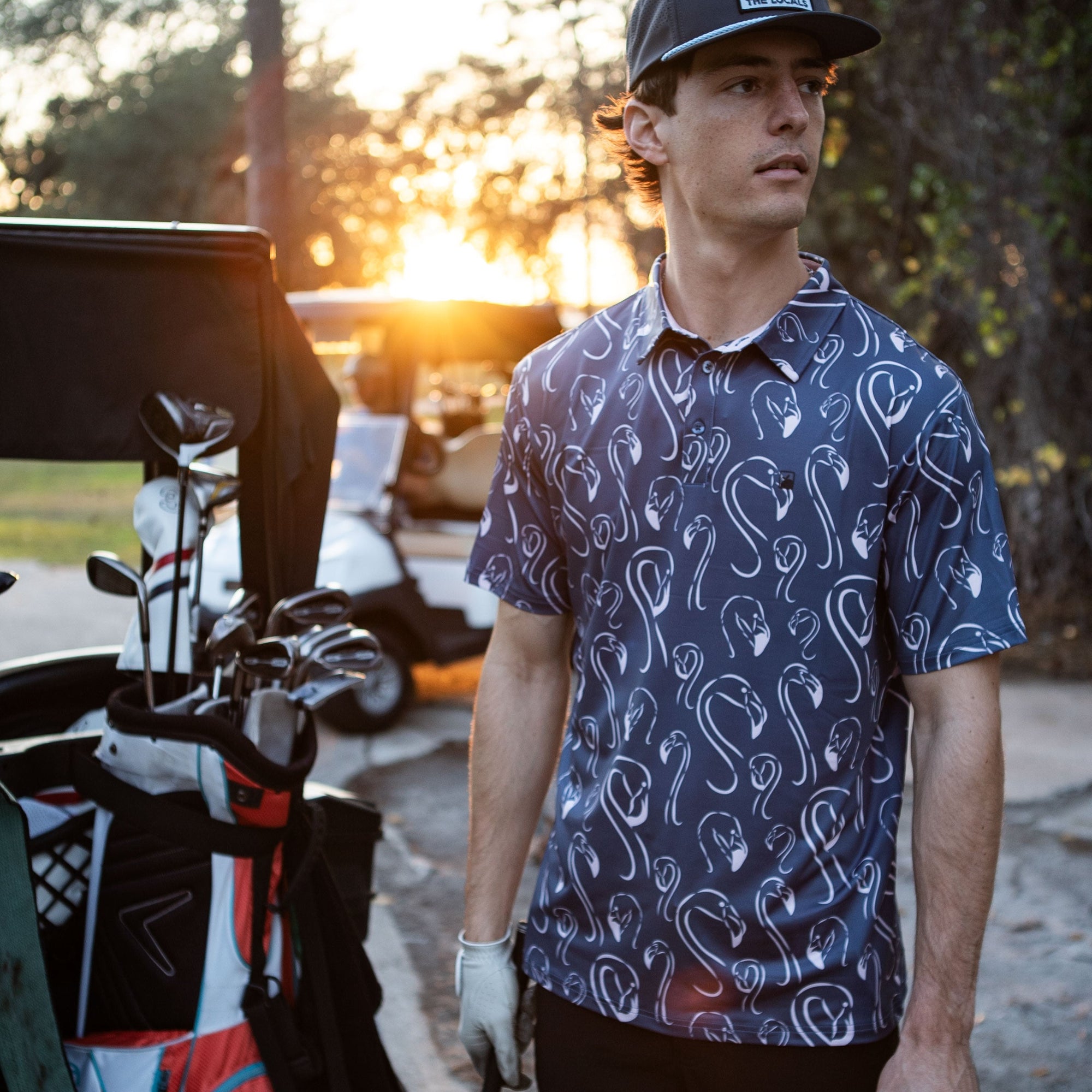 Mingo Polo