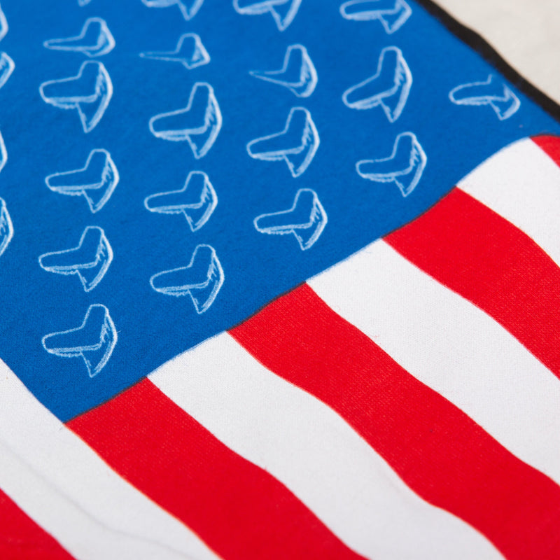 Toothy Flag USA Tee